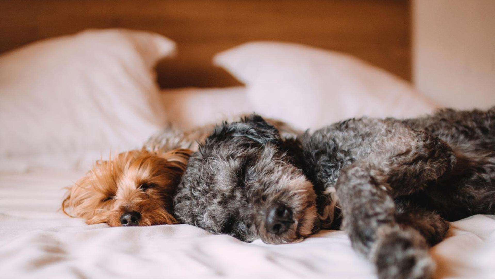 Hotel Ibis Styles Shopping Giga Mall